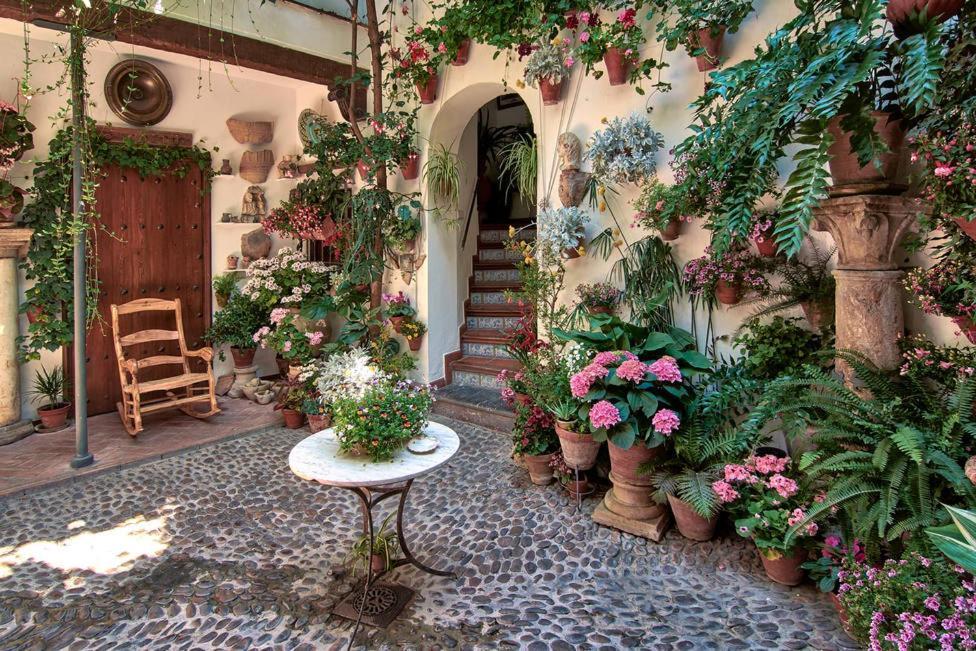 Apartment Patio El Pacifico